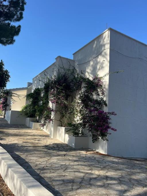 Villa Bouganville 2 Ostuni Exterior foto